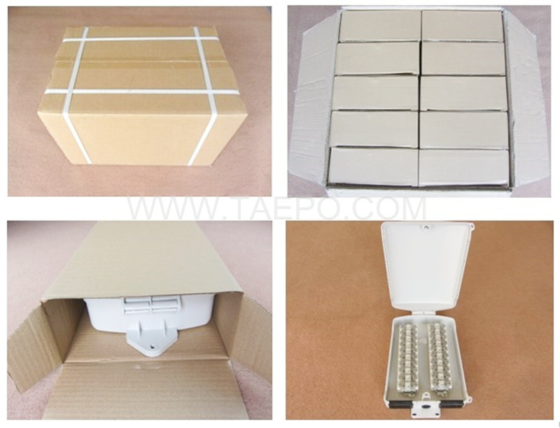 Packing Picture for Outdoor 20 pairs terminal box 