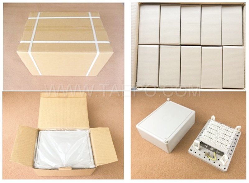 Packing Picture for distribution point box with lsa module