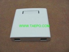 Fiber optic surface box