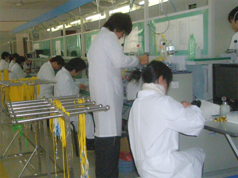 The Fiber Optic workshop of TAEPO