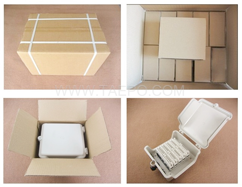 Packing Picture for outdoor 50 pair DP box with krone module