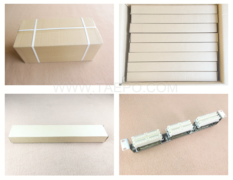 Packing Picture for 10 pairs 6 ways Krone rack mounting frame 