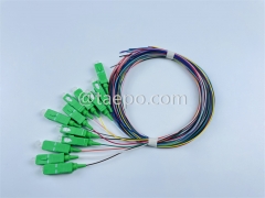 Single mode 12 fibers SC APC to SC APC Fiber optic fanout pigtail