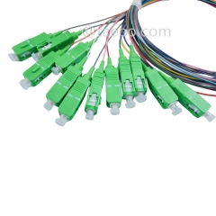 Single mode 12 fibers SC APC to SC APC Fiber optic fanout pigtail