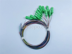 Single mode 12 fibers SC APC to SC APC Fiber optic fanout pigtail