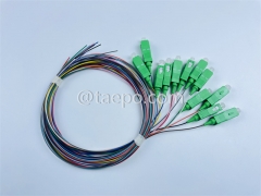 Single mode 12 fibers SC APC to SC APC Fiber optic fanout pigtail