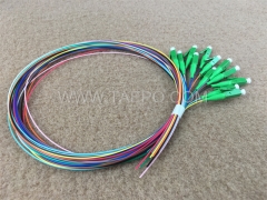 Single mode 12 fibers LC APC Fiber optic fanout pigtail