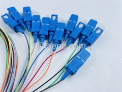 Single mode 12 fibers SC/UPC Fiber optic fanout pigtail with good price