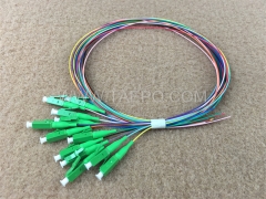 Single mode 12 fibers LC APC Fiber optic fanout pigtail