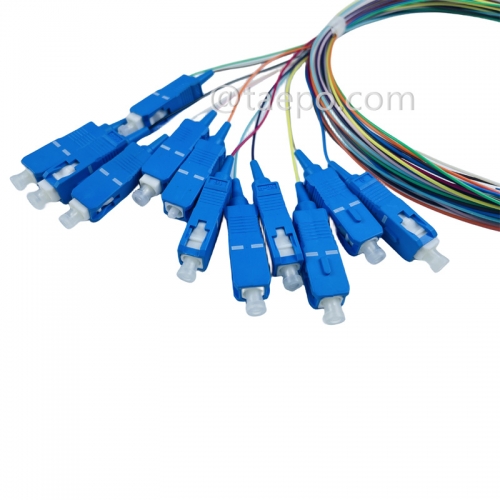 Single mode 12 fibers SC/UPC Fiber optic fanout pigtail with good price