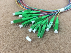 Single mode 12 fibers LC APC Fiber optic fanout pigtail