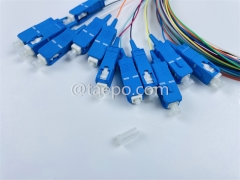 Single mode 12 fibers SC/UPC Fiber optic fanout pigtail with good price