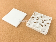 Sample Free 2 port SC Fiber optic surface mount box with SC adapters and pigtails from China Factory TAEPO for Sale