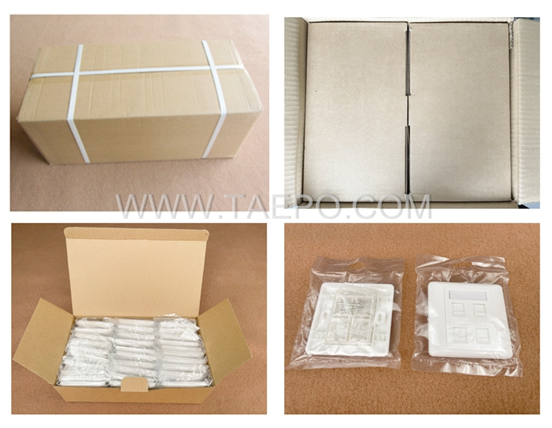 Packing Picture for 4 port RJ45 wall network face plate 