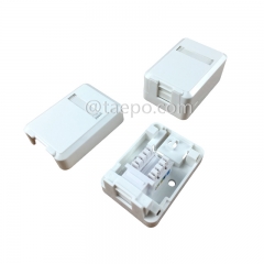 CAT5E 8P8C 1 port surface mount box with keystone jack with RoHS Certificate from China Manufacturer TAEPO for Sale