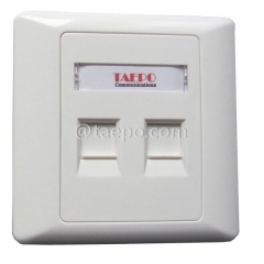 86x86mm American style 2 port RJ45 double network wall faceplate from China Manufacturer for Sale