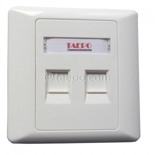 86x86mm American style 2 port RJ45 double network wall faceplate from China Manufacturer for Sale