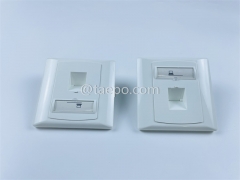 86x86mm German style 1 port network faceplate from China Manufacturer TAEPO for Sale