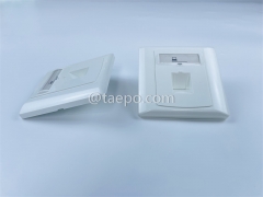 86x86mm German style 1 port network faceplate from China Manufacturer TAEPO for Sale