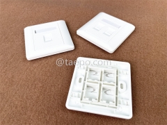86x86mm American style 2 port RJ45 double network wall faceplate from China Manufacturer for Sale
