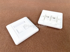 86x86mm American style 2 port RJ45 double network wall faceplate from China Manufacturer for Sale
